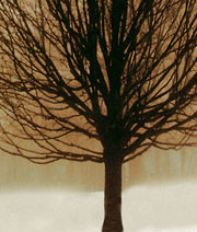 kath schnorr